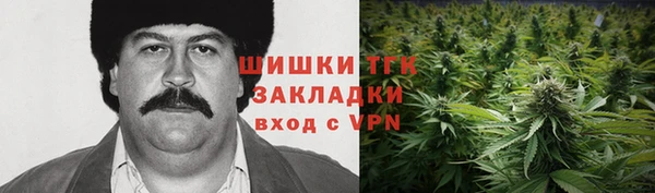 дживик Абинск