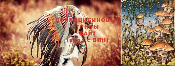 a pvp Абдулино