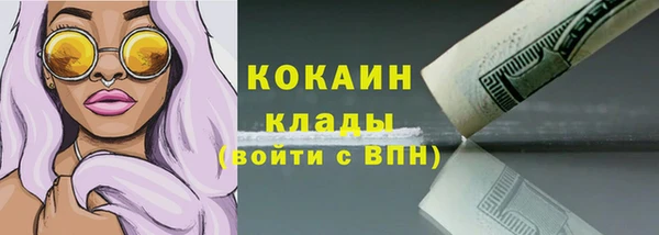 дживик Абинск