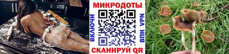 Галлюциногенные грибы GOLDEN TEACHER  наркотики  Котлас 